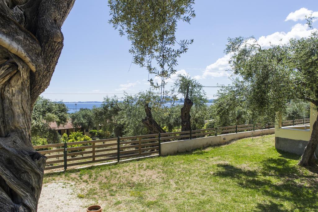 Apartament Renata & Barbati