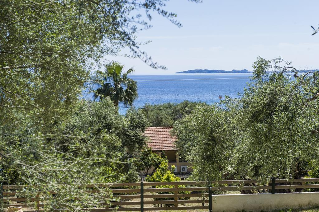 Apartament Renata & Barbati